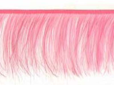 Ostrich feather fringe - ROSE 